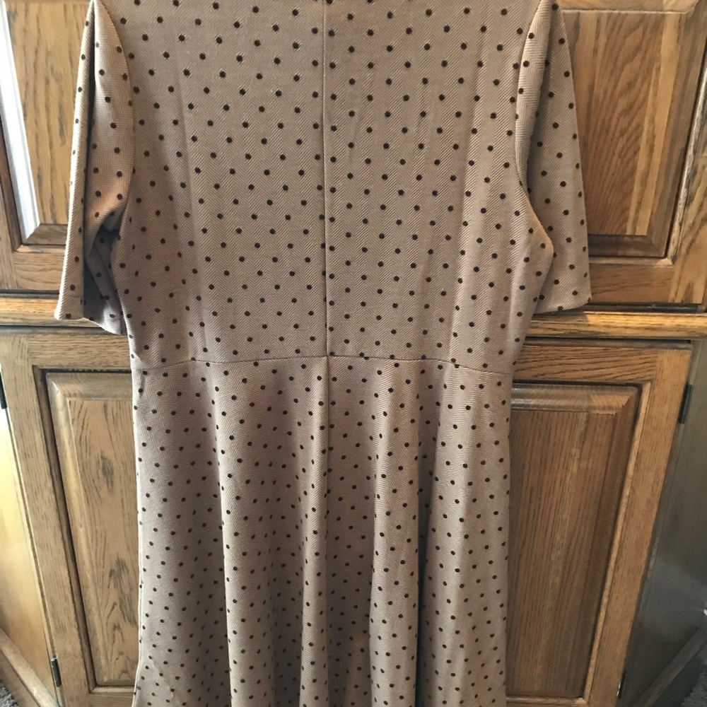 Size 14 Brown Lands End Dress